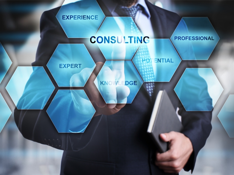 Consulting Services